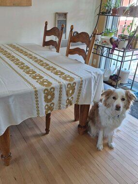 Vintage BAYER DRALON Tablecloth in Off White with Brown & Yellow Flowers 93"x59"